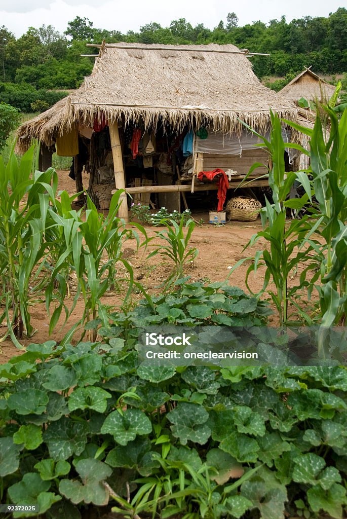 Maison rurale de Thai 02 - Photo de Agriculture libre de droits