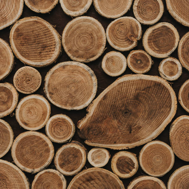 istock Creative layout made of wood texture. Nature background . Flat lay pattern 923722056