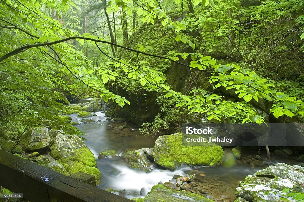 O Roaring Fork Creek, primavera - Foto de stock de Parque Nacional das Great Smoky Mountains royalty-free