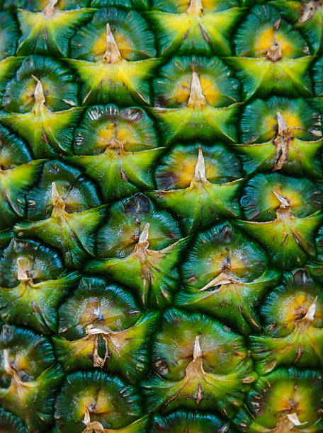 pineapple peel stock photo