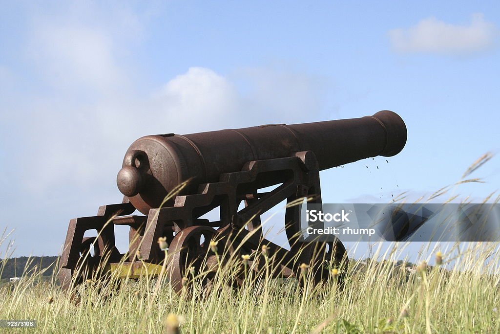 Cannon no Fort James com vista de Deep Bay - Foto de stock de Antigo royalty-free