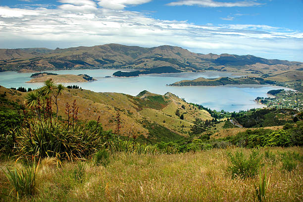 lyttleton ハーバーの眺め、ニュージーランドの丘 - rhonda ストックフォトと画像