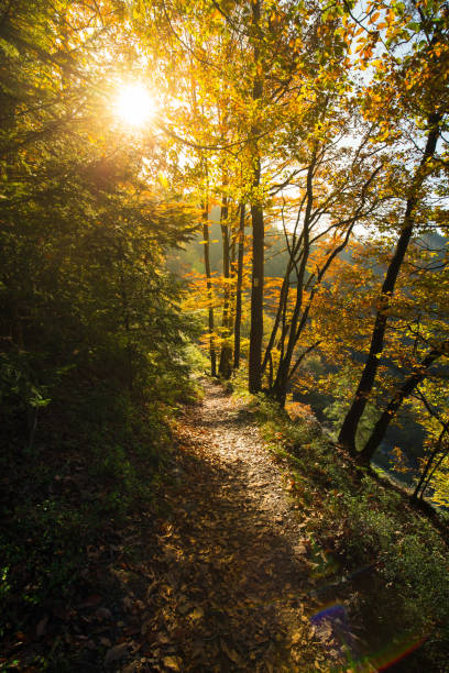 Autumn colors on a hiking trail