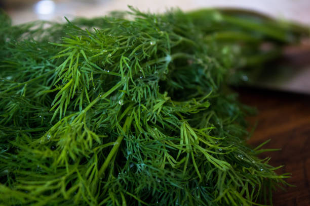 istock Fresh dill from the garden on the old wooden table in rustic style, selective focus 923733290