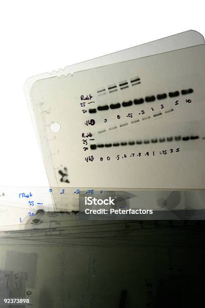 Western Blot - zdjęcia stockowe i więcej obrazów Kropelka - Kropelka, Zachód, DNA