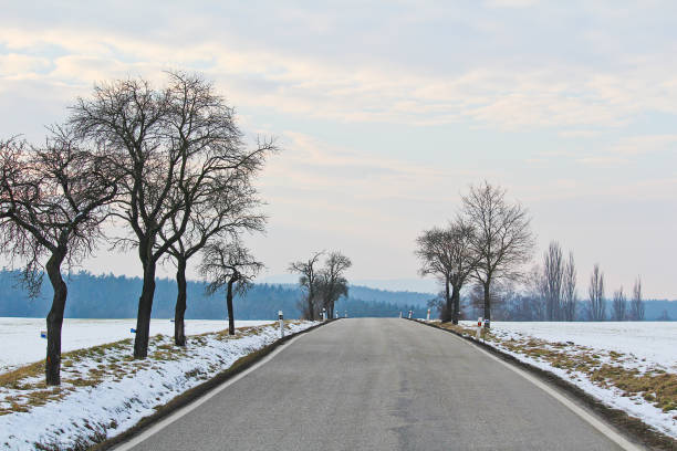 istock Czech road in with with snow and trees 923739170
