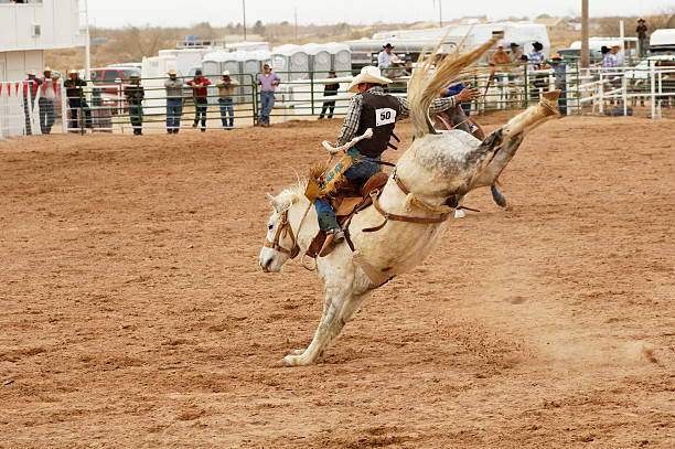 saddle wildpferden 1 - rodeo cowboy motion horse stock-fotos und bilder
