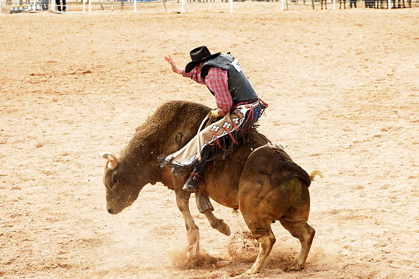 Bull Riding 1  cowboy photos stock pictures, royalty-free photos & images