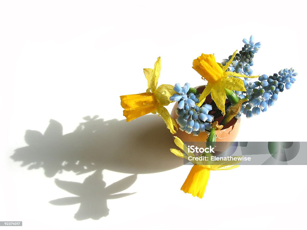 Guscio di Pasqua - Foto stock royalty-free di Bianco