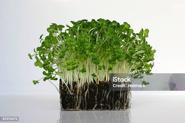 Cress And Mustard Sprouts For Garnishing Salads Stock Photo - Download Image Now - Agricultural Field, Botany, Color Image