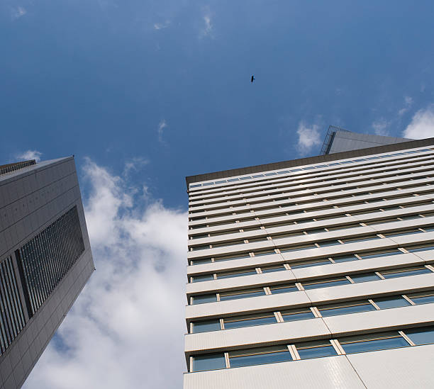 istock Bird Flying over Tokyo Skyscrapers 92374414
