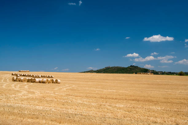 summer landscape near perugia - 4605 imagens e fotografias de stock