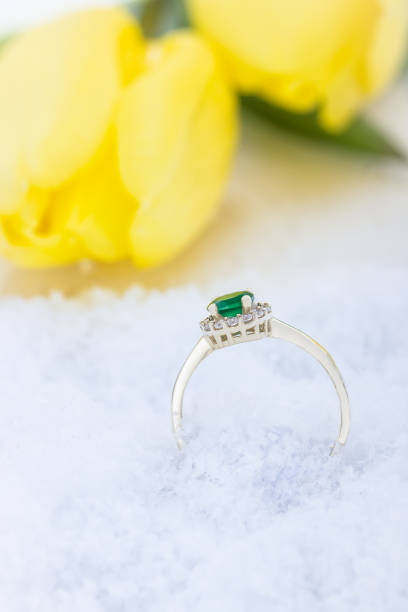 istock Golden ring, snow and flowers yellow tulips on a light background 923745732