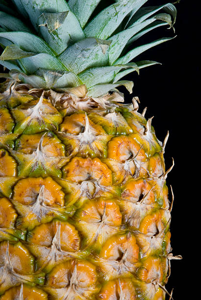 Pineapple on Black stock photo