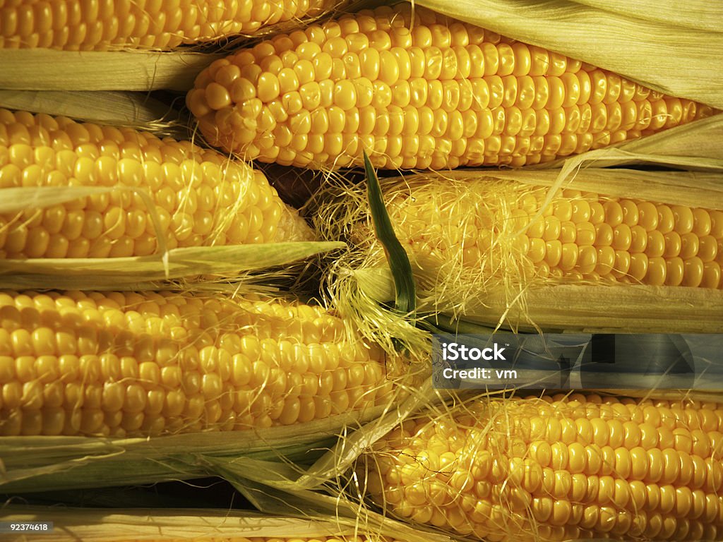 Fresca de maíz - Foto de stock de Agricultura libre de derechos