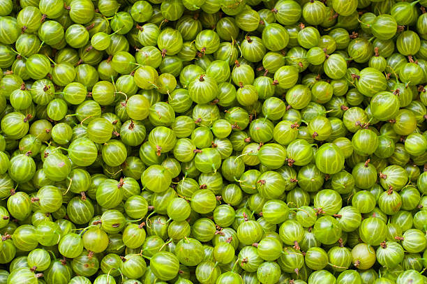 Gooseberry background stock photo