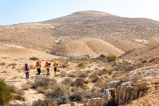 Four backpackers friends tourists hiking walking arid mountains trail footpath, Negev stone desert traveling, Israel.