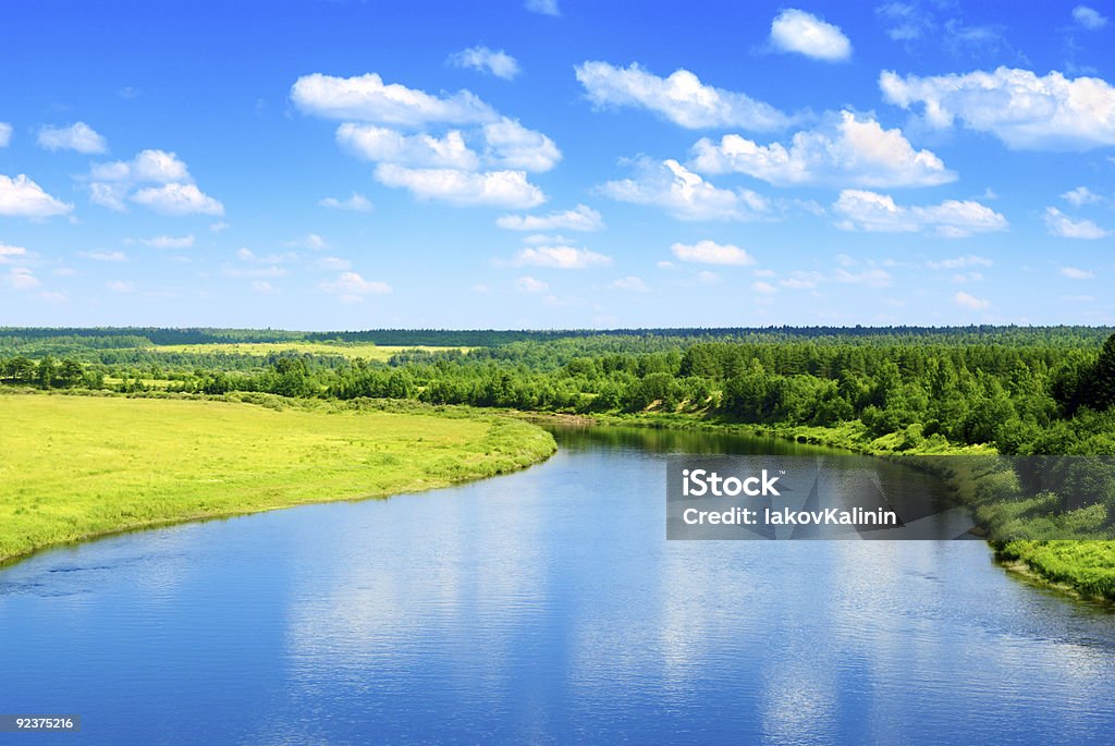 Fiume e estate natura - Foto stock royalty-free di Acqua