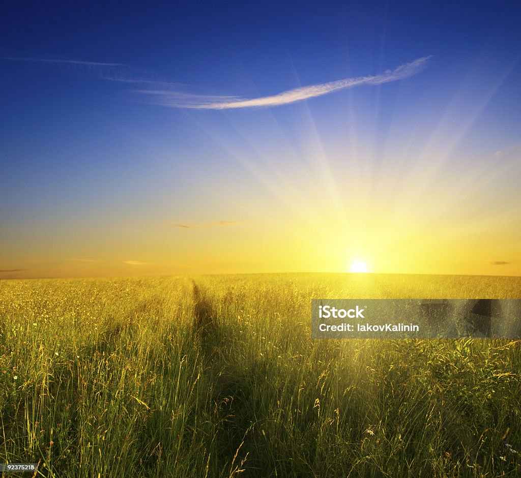 Campo di erba e tramonto - Foto stock royalty-free di Agricoltura