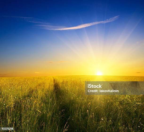 Campo Di Erba E Tramonto - Fotografie stock e altre immagini di Agricoltura - Agricoltura, Ambientazione esterna, Bellezza naturale