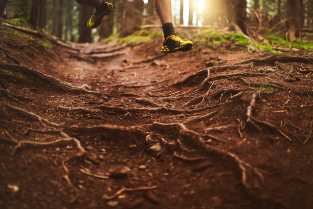 istock Man trail running in the forest 923752628