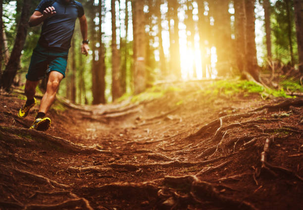 homem correndo trilha na floresta - running jogging footpath cross country running - fotografias e filmes do acervo