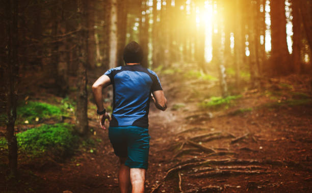 istock Man trail running in the forest 923752632