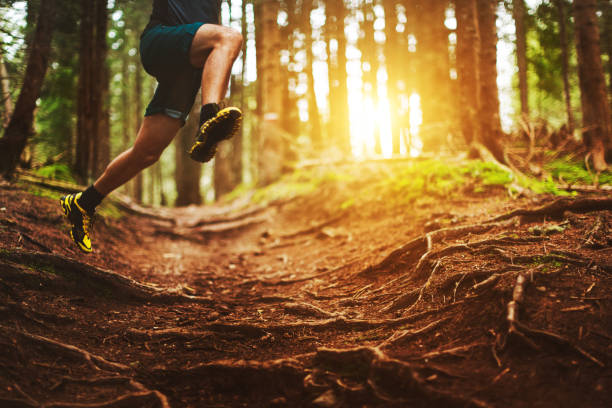 istock Man trail running in the forest 923752636