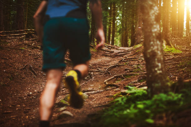istock Man trail running in the forest 923752640