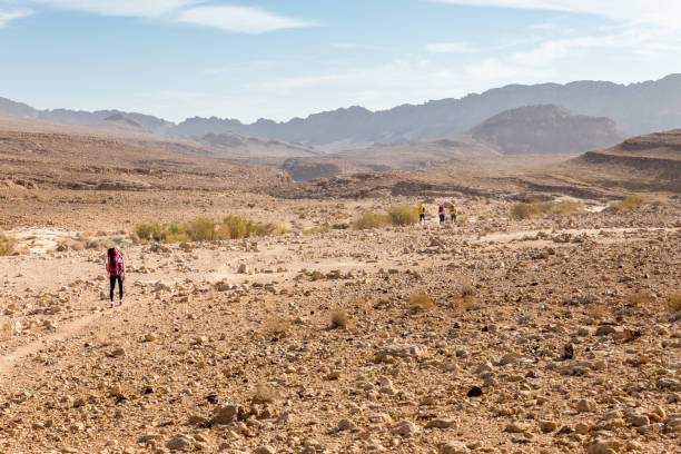 istock Four backpackers hiking trail, Negev desert,  Israel. 923756660