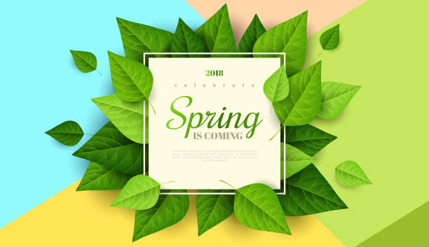 Spring background with green leaves Spring background with green leaves and square frame on trendy geometric backdrop. Vector illustration. Fresh template design for posters, flyers, brochures or vouchers. leaves backgrounds stock illustrations