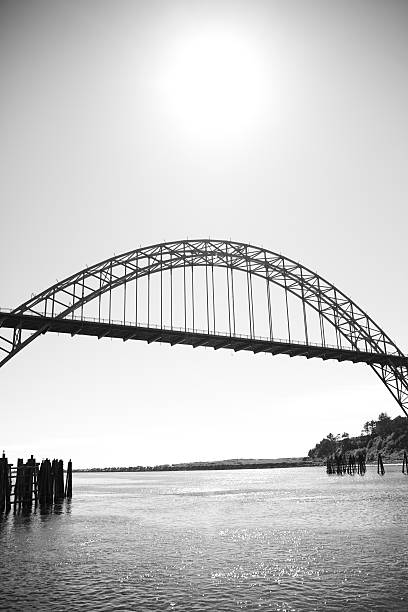 Free Stock Photo of Bridge Over Water in Black and White | Download ...