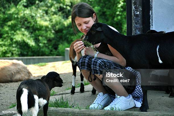 Photo libre de droit de Petite Fille À Nourrir Les Chèvres banque d'images et plus d'images libres de droit de Adolescent - Adolescent, Zoo, Accroupi