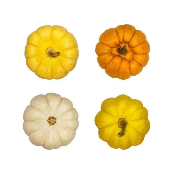istock Close-Up Of Pumpkins Against White Background 923765734