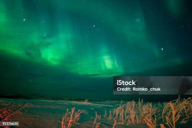 Активный Aurora Через Облака С Размытым Foregroud — стоковые фотографии и другие картинки Дерево - Дерево, Северное сияние, Аляска - Штат США