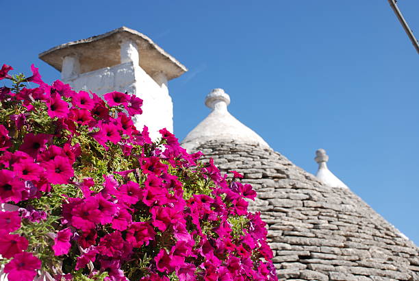 istock Trullo Roof with Pink Flowers 92376706