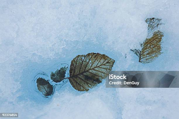 잎 융해 대상쪽으로 빙하 클로즈업 0명에 대한 스톡 사진 및 기타 이미지 - 0명, 깨끗한, 녹기