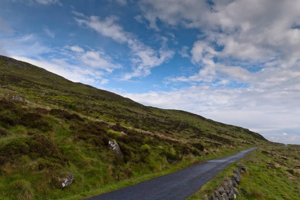 istock Slieve Gullion Slope and Forest Road 923772280
