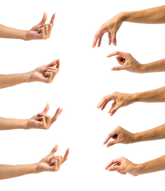 istock Cropped Hands Of People Gesturing Against White Background 923775546