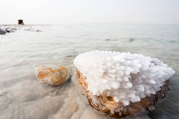 Salt crystals formed on a rock at the Dead Sea stock photo