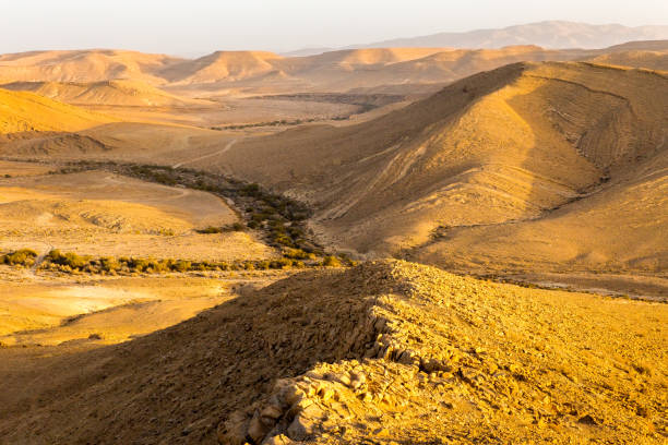 istock Desert mountains ridge canyon, south Israel landscape. 923788292