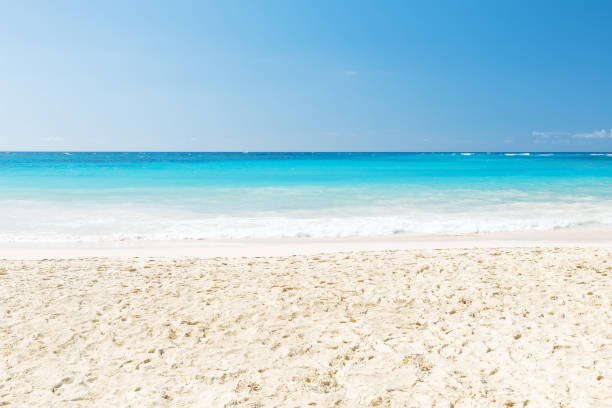 istock Wave of the sea on the sand beach 923792960