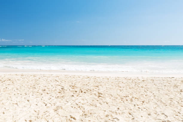 istock Wave of the sea on the sand beach 923793028