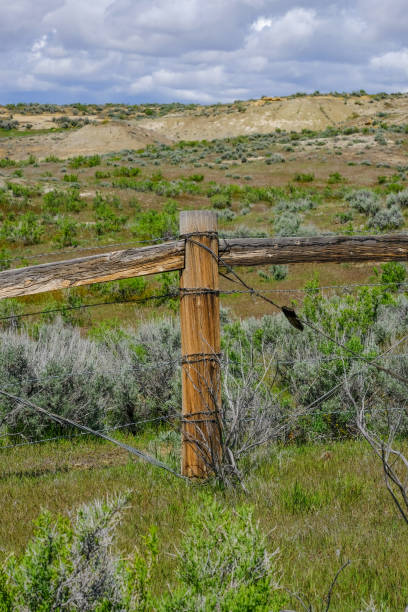 istock Barb wire fence with wood post and brace. 923795794