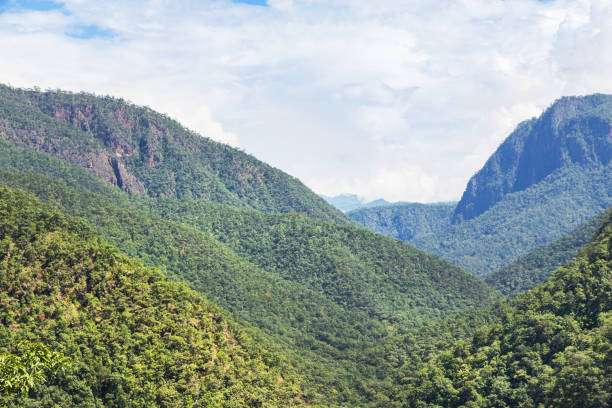 istock tropical rainforest mountains in Thailand 923796570