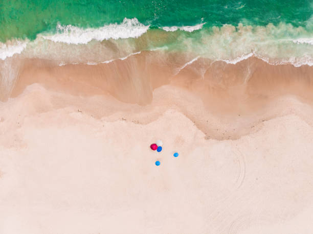 istock Beach in Rio de Janeiro, Brazil from Above 923800172