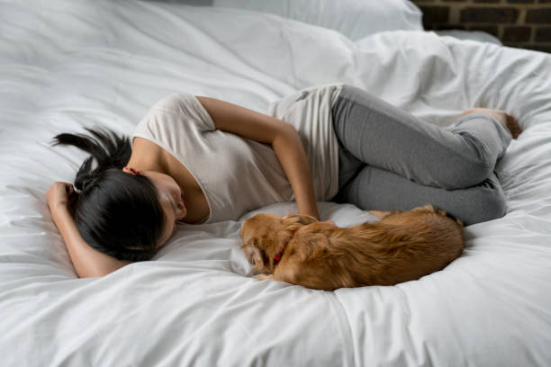 Casual Asian woman relaxing at home lying on a bed stroking with her dog - lifestyle concepts