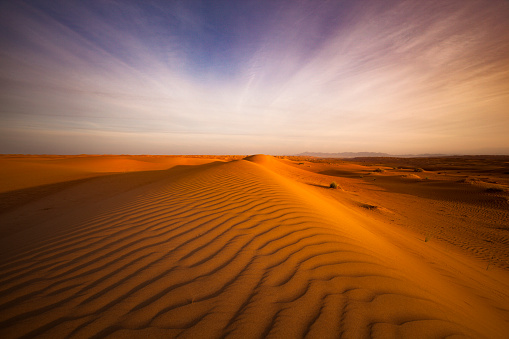 rippled sand dunes and 4 wheel tire tracks at sunset in wahiba sands desert in oman.