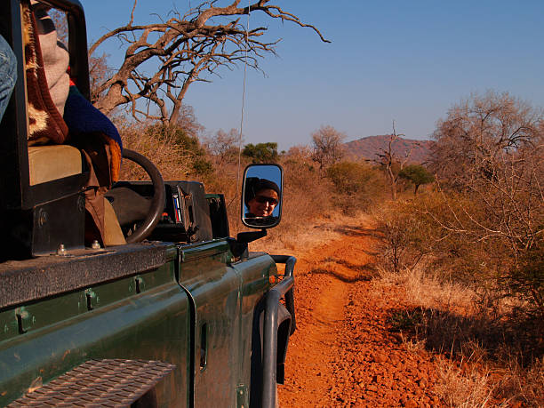 istock The Road ahead, driving through african bush. 92380815