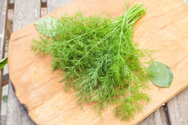 istock dill on wooden cutting board 923809662